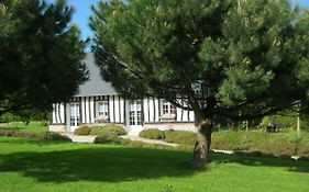 Gite Des Pins Penches
